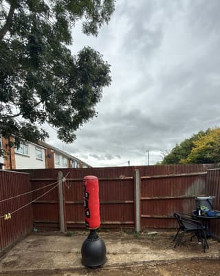 After: the same garden, cleared