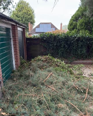 Before: a thick layer of cut branches and green waste in front of some garages